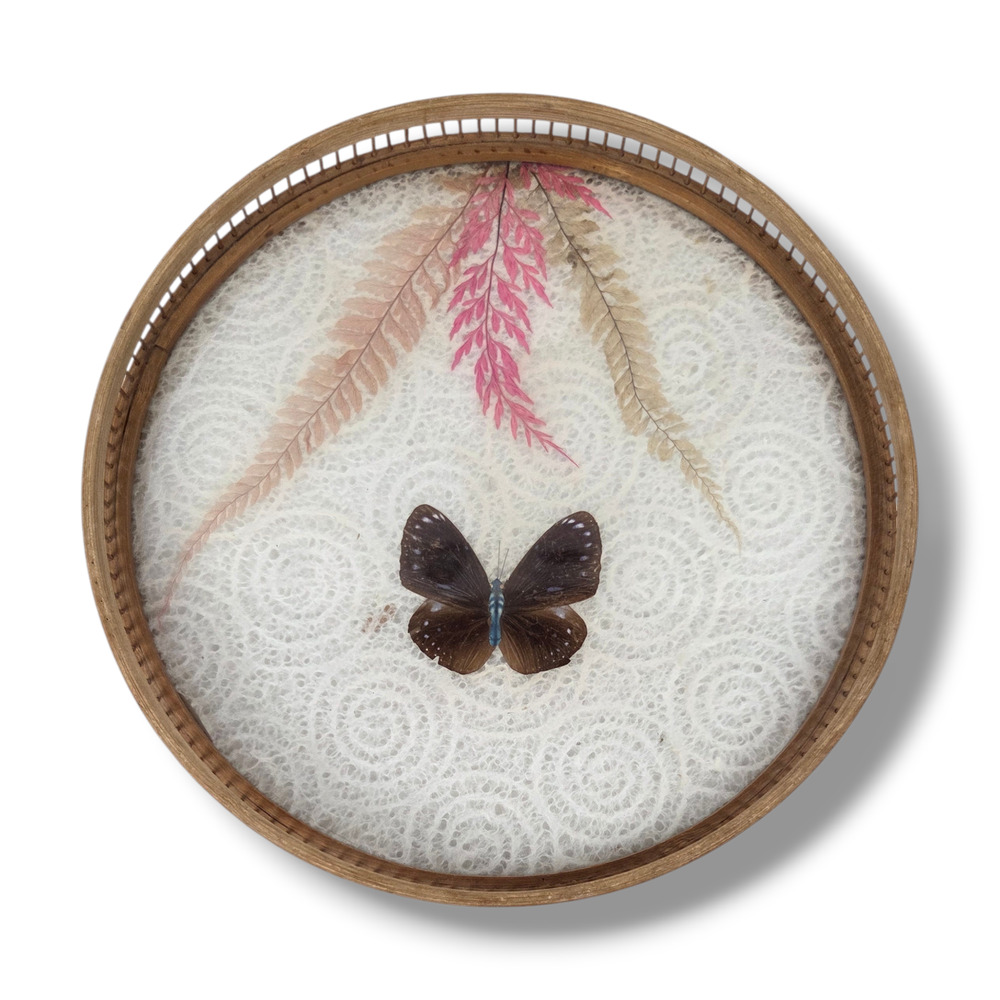 Vintage Bamboo Glass Tray Real Pressed Butterfly Fern Vanity Decor Pink Nature